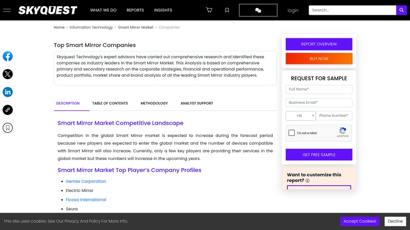 Smart Mirror Market Companies